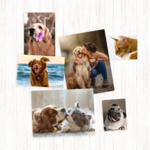 custom-size-photo-posters-1